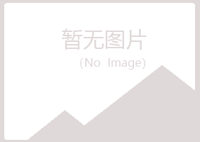 咸阳忆山会计有限公司